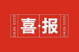喜报！乐动LD唯一官方网站-乐动ld官网登录入口
集团党支部书记、总裁陈文舒荣登“2024人力资源服务机构100人”榜单